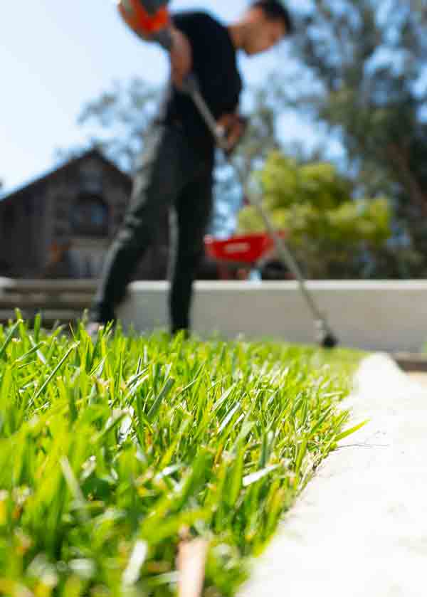 Torres Lawn Care team at work